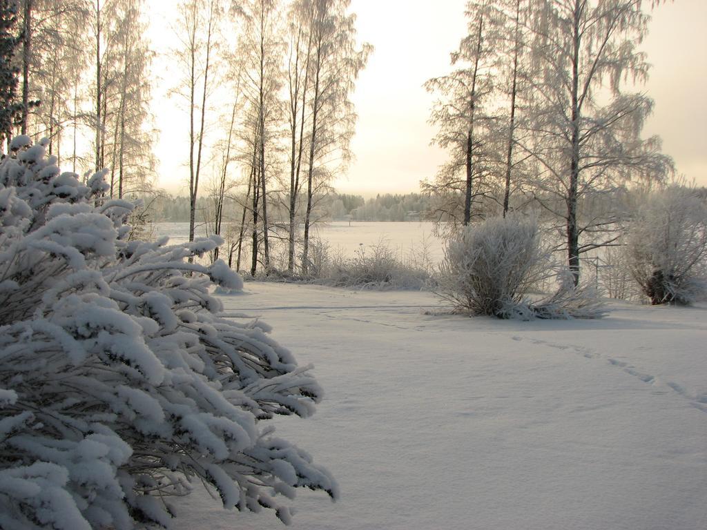 Lomakeskus Kuntoranta Hotel Varkaus Buitenkant foto